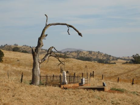 [Picture of one side of the Hornitos Oddfellows Cemetery]